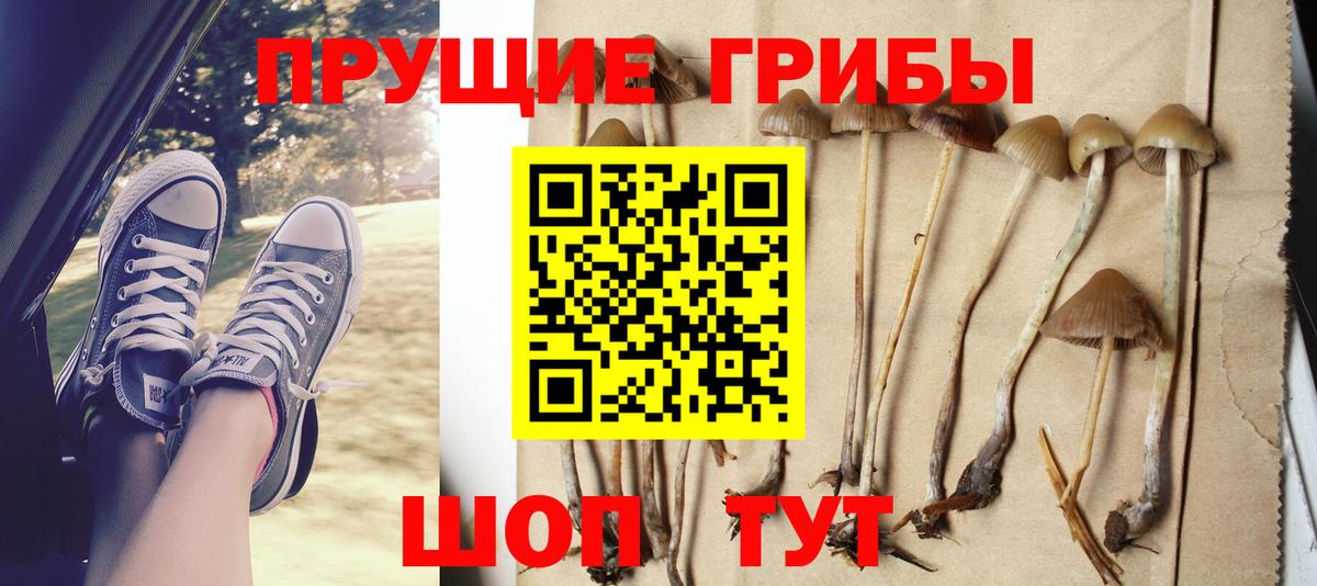 Псилоцибиновые грибы MAGIC MUSHROOMS  Вход с VPN  Рузаевка 