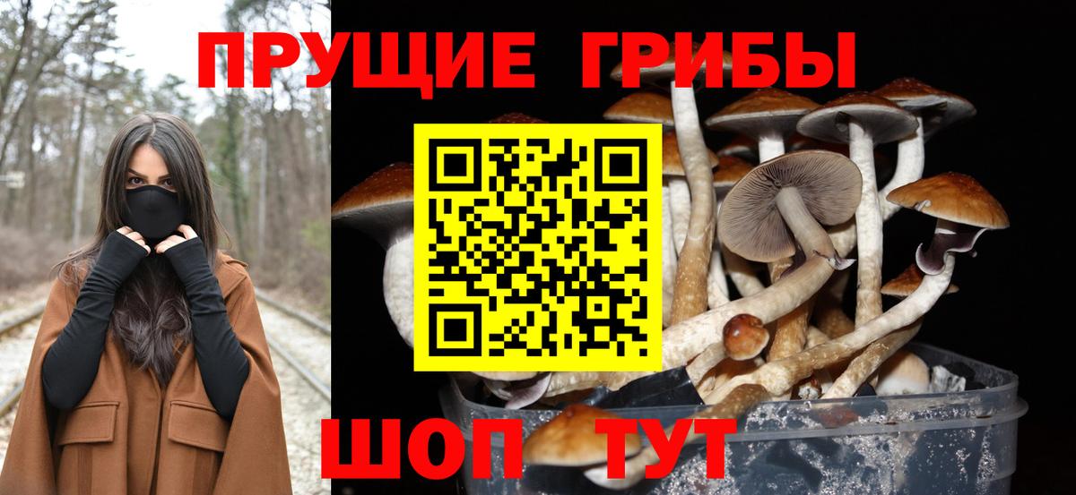 Псилоцибиновые грибы Psilocybine cubensis Рузаевка